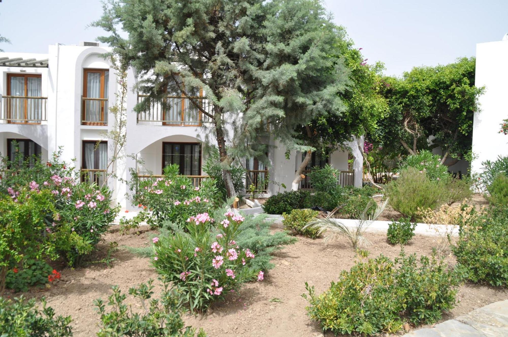 Gumbet Cove Hotel Pokój zdjęcie